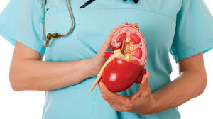 Illustration for article titled Resep Obat Tradisional Penyakit Kencing Batu